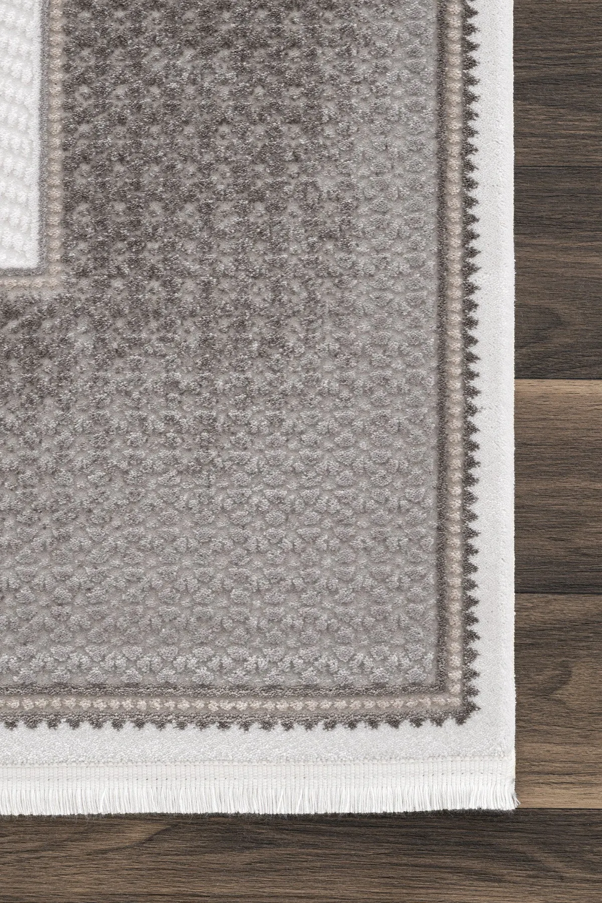 Elegantly Designed Carpet
